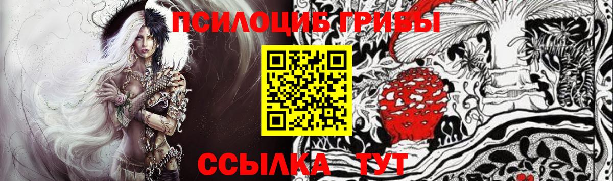 Псилоцибиновые грибы Psilocybe Курчатов