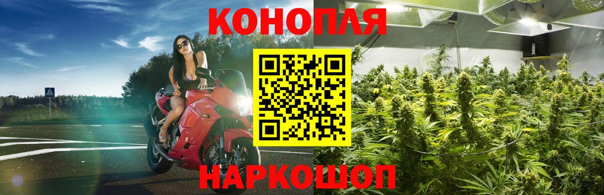 Шишки марихуана тримм  Канабис ГИДРОПОН  Вход с VPN  Курчатов 